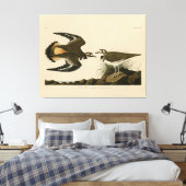 Kilhertenliefen (Killhert) Audubon Birds of Americ Canvas Afdruk (Insitu (Slaapkamer))
