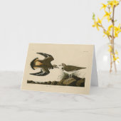 Kilhertenliefen (Killhert) Audubon Birds of Americ Kaart (Gele Bloem)