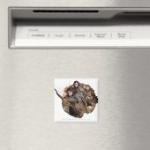 Kili, THORIN OAKENSHIELD™ en Fili Magneet (Insitu (Vaatwasser))