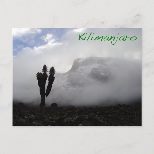 Kilimanjaro Briefkaart (Voorkant)