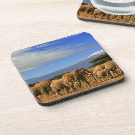 Kilimanjaro en olifanten bier onderzetter (Linkerzijde)