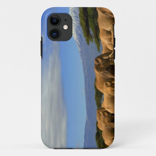 Kilimanjaro en olifanten Case-Mate iPhone case (Achterkant)