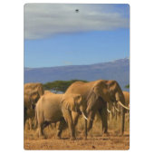 Kilimanjaro en olifanten klembord (Achterkant)
