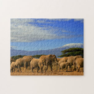 Kilimanjaro en olifanten legpuzzel