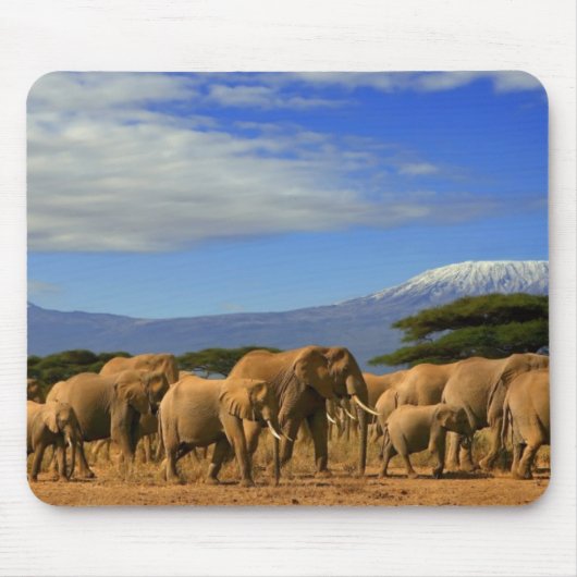 Kilimanjaro en olifanten muismat (Voorkant)