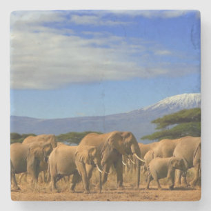 Kilimanjaro en olifanten stenen onderzetter