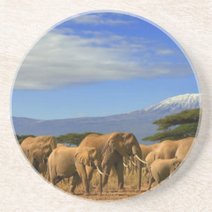 Kilimanjaro en olifanten zandsteen onderzetter