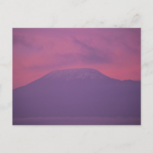 Kilimanjaro in Dawn Briefkaart (Voorkant)