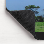 Kilimanjaro Muismat (Hoek)