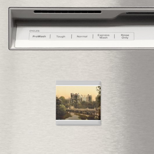 Kilkenny Castle. Co. Kilkenny, Ierland prachtig Magneet (Insitu (Vaatwasser))