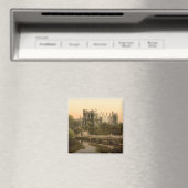 Kilkenny Castle, County Kilkenny Magneet (Insitu (Vaatwasser))