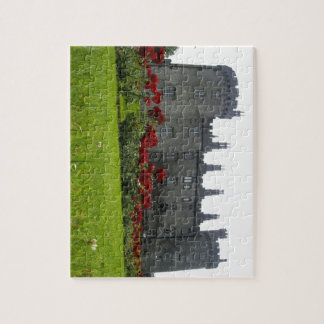 Kilkenny Castle, Ireland Legpuzzel