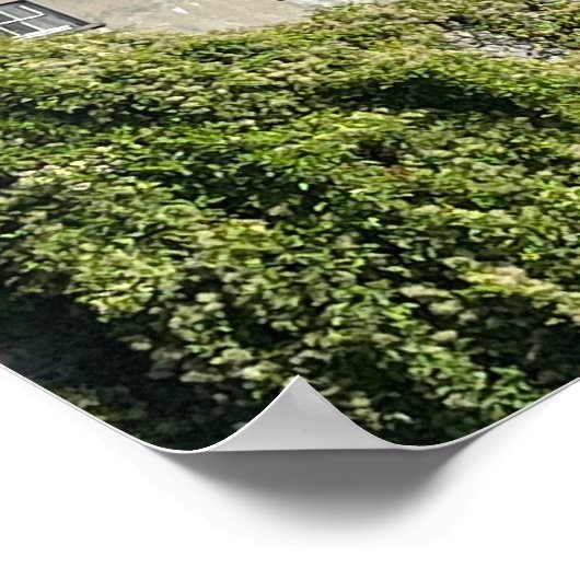 Kilkenny Ierland Europa Poster (Hoek)