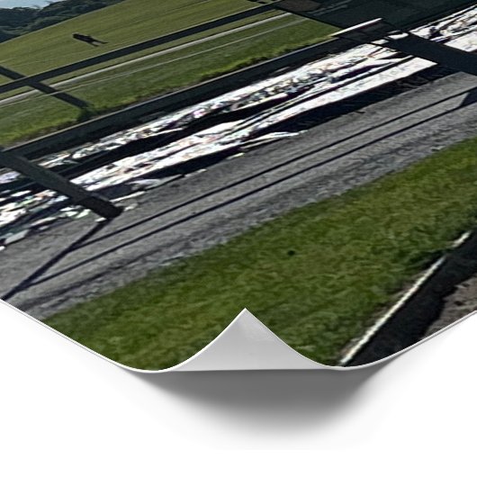 Kilkenny Ierland Europa Poster (Hoek)