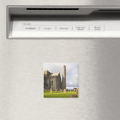 Kilkenny, Ierland. Killkenny staat ook bekend als Magneet (Insitu (Vaatwasser))