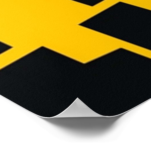 Kill Bill Poster (Hoek)