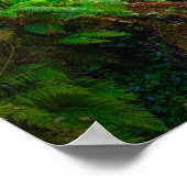 Killarney Ierland Watervalprint | Bos Kunst Poster (Hoek)