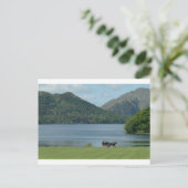 Killarney Lakes en Jarvey Briefkaart (Staand voorkant)