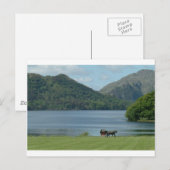 Killarney Lakes en Jarvey Briefkaart (Voorkant / Achterkant)