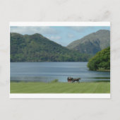 Killarney Lakes en Jarvey Briefkaart (Voorkant)