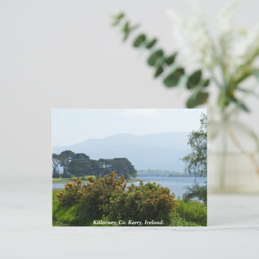 Killarney lakeside, County Kerry, Ierland Briefkaart (Staand voorkant)