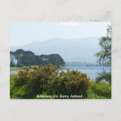 Killarney lakeside, County Kerry, Ierland Briefkaart (Voorkant)