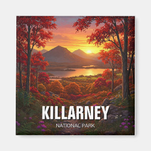 Killarney National Park Ierland Reizen Magneet