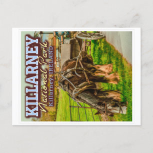 KILLARNEY NATIONAL PARK - KILLARNEY IERLAND BRIEFKAART