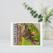 KILLARNEY NATIONAL PARK - KILLARNEY IERLAND BRIEFKAART (Staand voorkant)