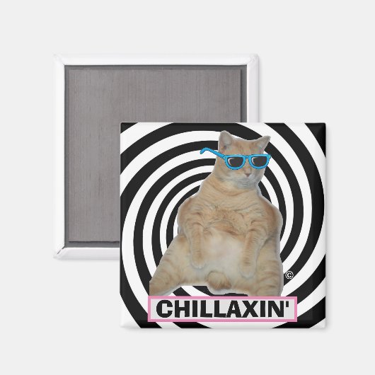 KILLAXIN" Vetmanxkat met zonnebril Magneet (Voorkant / Achterkant)