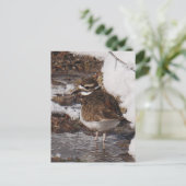 Killdeer-ansichtkaart Briefkaart (Staand voorkant)