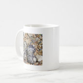 KillDeer Nest met eieren Koffiemok (Voorkant links)