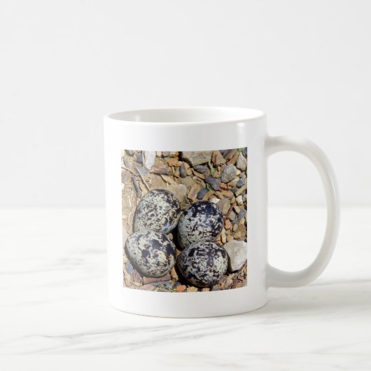 KillDeer Nest met eieren Koffiemok (Rechts)