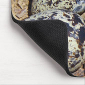 KillDeer Nest met eieren Muismat (Hoek)