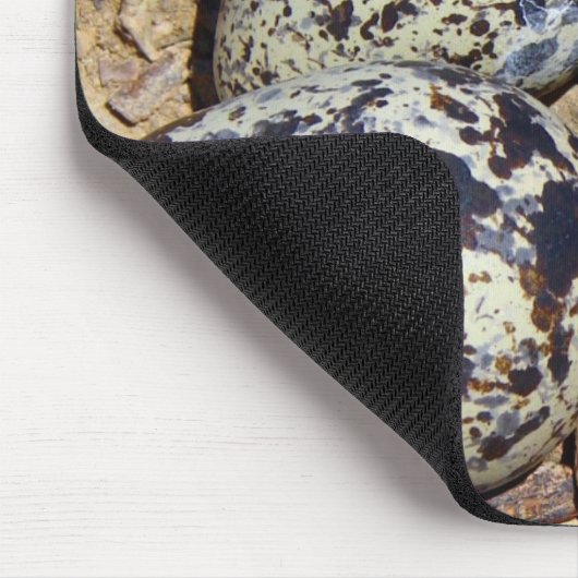 KillDeer Nest met eieren Muismat (Hoek)