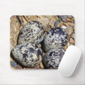 KillDeer Nest met eieren Muismat (Met muis)