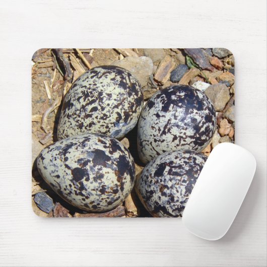 KillDeer Nest met eieren Muismat (Met muis)