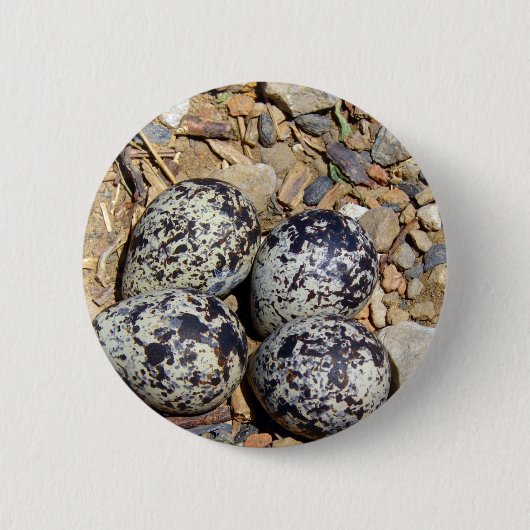 KillDeer Nest met eieren Ronde Button 5,7 Cm (Voorkant)
