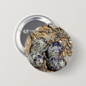 KillDeer Nest met eieren Ronde Button 5,7 Cm (Voorkant /achterkant)