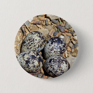 KillDeer Nest met eieren Ronde Button 5,7 Cm