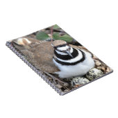 Killdeer vogel met eieren (mijn fotografie) notitieboek (Rechterzijde)
