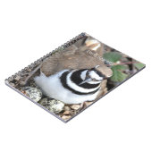 Killdeer vogel met eieren (mijn fotografie) notitieboek (Linkerzijde)