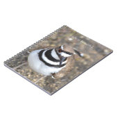 Killdeer vogel (mijn fotografie) notitieboek (Linkerzijde)