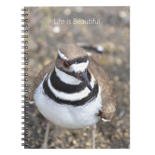 Killdeer vogel (mijn fotografie) notitieboek (Voorkant)