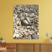 Killder Nest & Eggs Foto op Canvas (Insitu (Woonkamer))