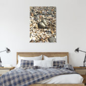 Killder Nest & Eggs Foto op Canvas Afdruk (Insitu (Slaapkamer))