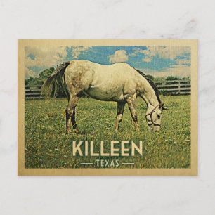 Killeen Texas Horse Boerderij - Vintage Travel Briefkaart