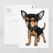 Killer Chihuahua Briefkaart (Voorkant / Achterkant)