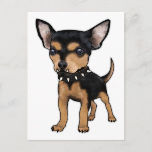 Killer Chihuahua Briefkaart (Voorkant)