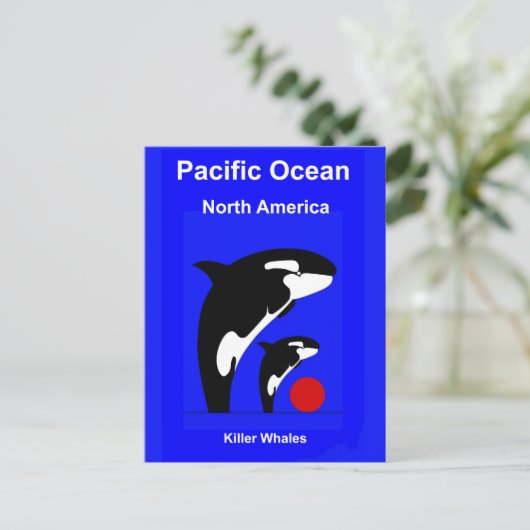 Killer Wales Briefkaart (Staand voorkant)